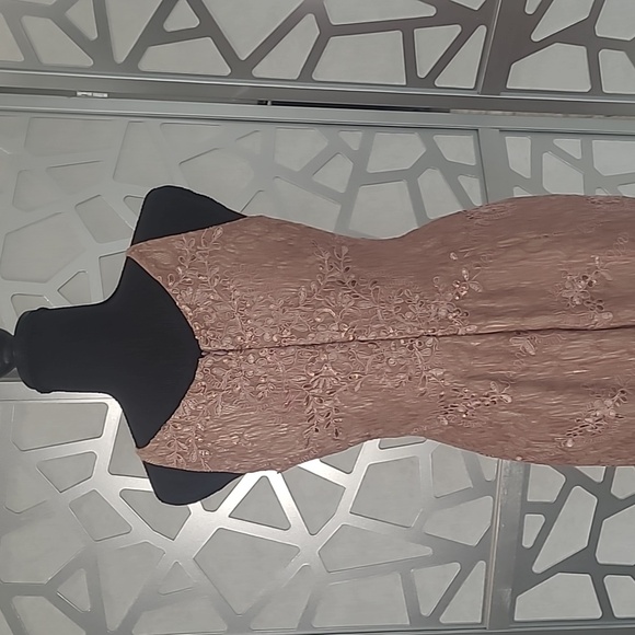 Dress the Population Dress - Picture 6 of 8